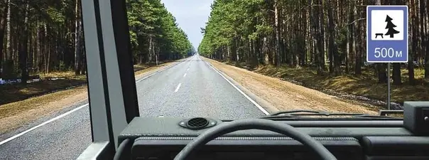Иллюстрация к вопросу 12 билета 17